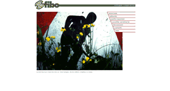 Desktop Screenshot of fibo.it