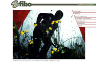 Tablet Screenshot of fibo.it